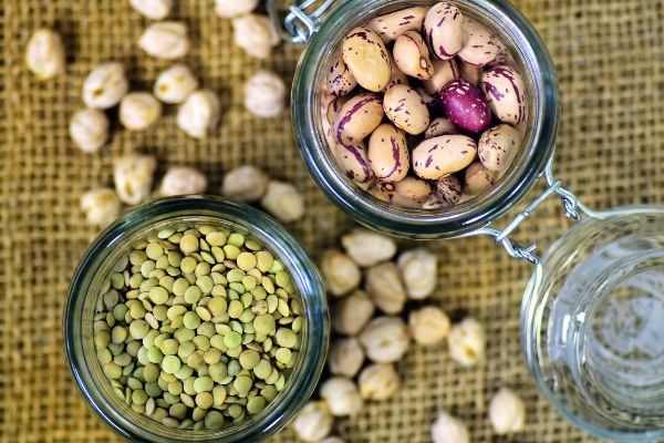 Plant Proteins